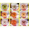 Automatic Vegetable Cuber Multifunctional Vegetable Cutter Vegetable Slicer Granulator Carrot Diced Potato Dicing Slicer