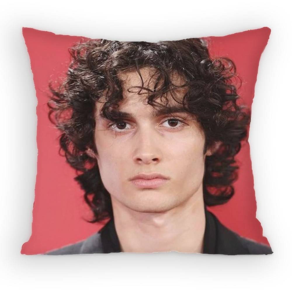 Sombr Back to Friends Pillow Case Sofa Living Room Bedroom Headboard Backrest Cushion Square Cushion Nap Time