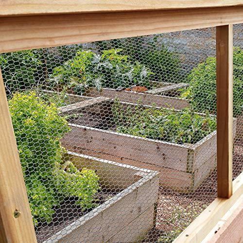 Amagabeli 0.5mx25m grillage à poule 13mm galvanisé maille hexagonal cloture poulailler voliere poulailler jardin grillage grillage t