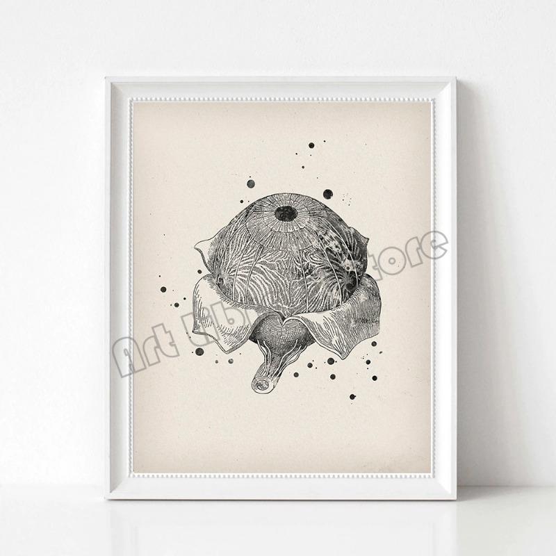 

Винтажный плакат с анатомией человеческого глаза для медицинского образования, холст, живопись, настенное искусство, картины, офтальмологическая клиника, домашний декор, подарок 21cm×30cm NoFrame