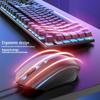 Wired Mechanical Feel Gaming Keyboard & Mouse Set – Silent, Universal for Desktop and E-sports
