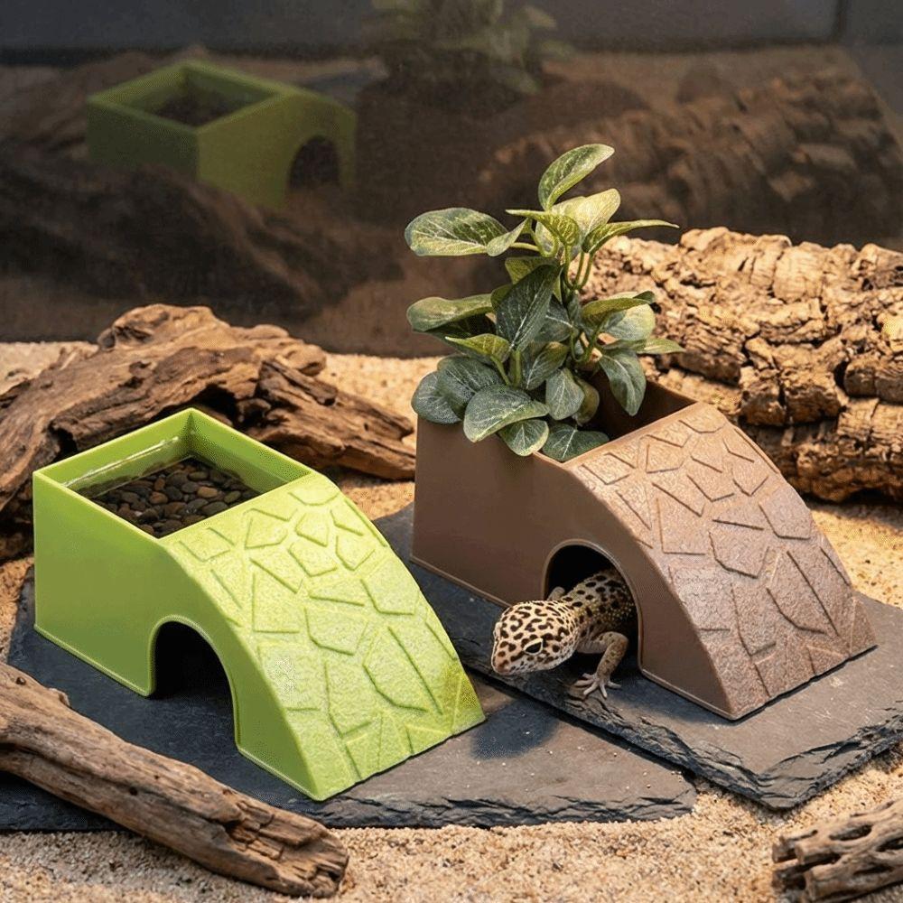 With Moss Tray Reptile Hideout Cave Anti Drowning Water Dispenser Reptile Feeding Box  Pet Breeding