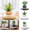 Levitating Air Bonsai Pot Rotation Flower Pot Planters Magnetic Suspension Floating Pot Potted Plant Home Without Plants