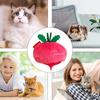 Plush Catnip Toy Catnip Toys Cucumber Stuffed Chew Toys Soft Pet Supplies Interactive Crinkle Cat Toys For Kitten & Indoor Cats