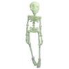 3D Printed Skeleton Human Joint Fidget Figurine Skeleton Refrigerator Magnet for Home Office Living Room and Desktop