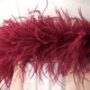 5-Layer Color Encrypted Bold Ostrich Feather Strip Latin Dance Dress Fashion Diy Handmade Clothing Accessories