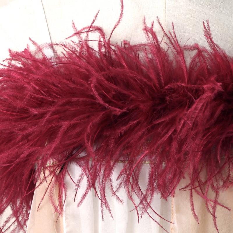 5-Layer Color Encrypted Bold Ostrich Feather Strip Latin Dance Dress Fashion Diy Handmade Clothing Accessories