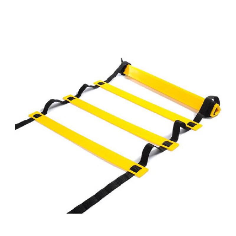 Speed Agility Training Ladder