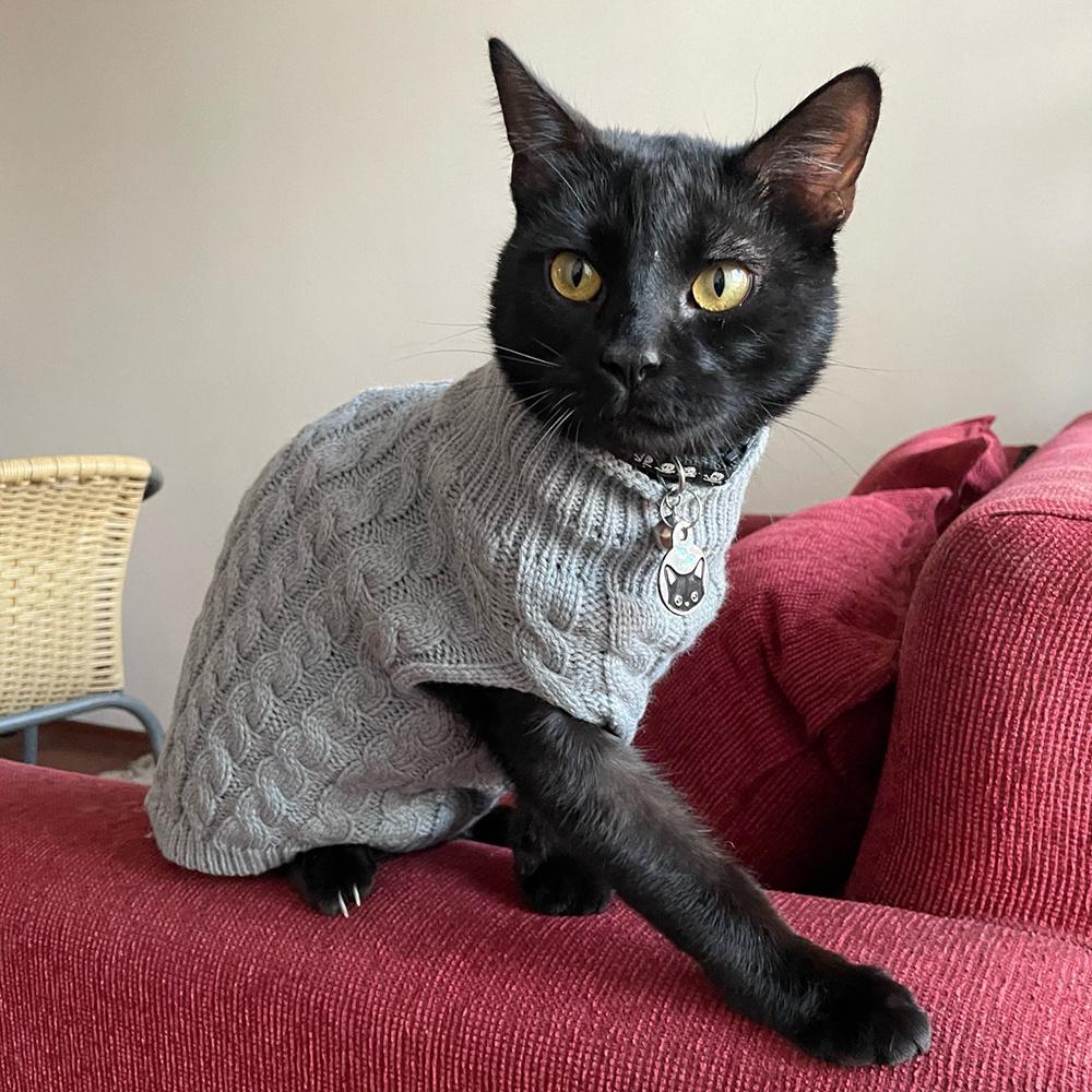 Warmer Gestrickter Sphynx Katze Pullover Winter Haustierkleidung für Katzen mascotas Kleidung Katten Kedi Kätzchen Welpe Pullover ropa para gatos
