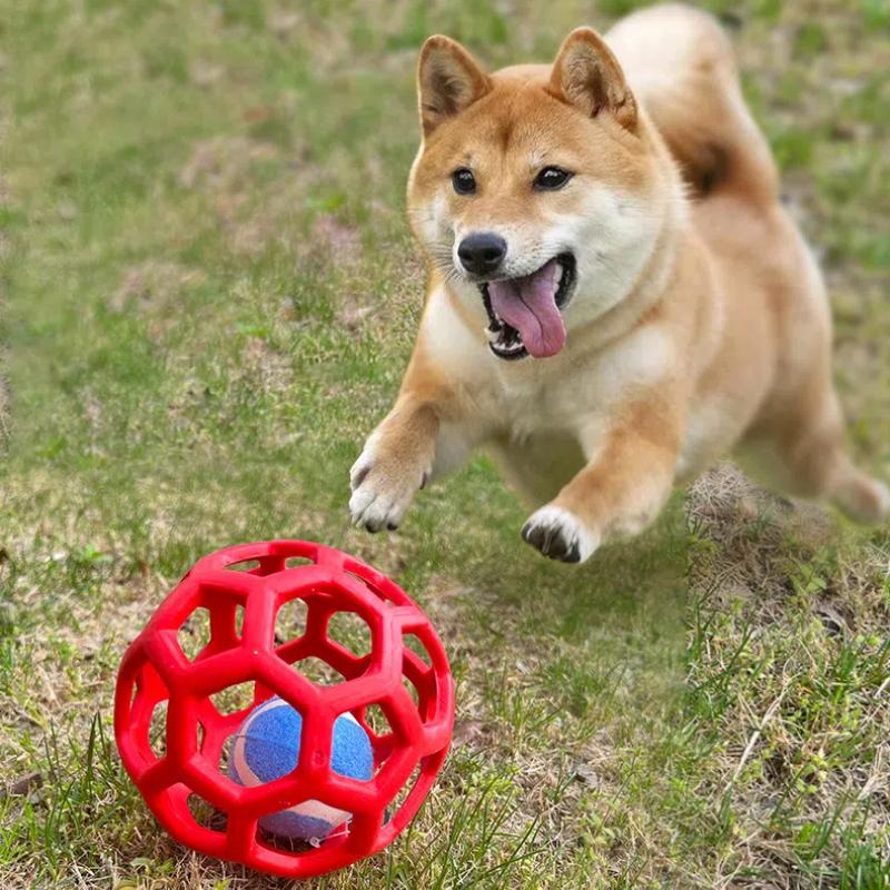 

Подходит для конюшен Подвесные кормушки для сена Игрушечные мячи Кормление собак в поло Игрушечные мячи Устойчивые к растяжению мячи из термопластичной резины красный