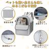 Athvcht Cat Dog Pet Carrier for Cats and Mesh PVC Seatbelt Securement Suitable for Medium and Large Small and Perfect for Hospital Emergency and