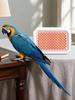 Bird Cage Heater Warming Panel Safe Thermostat Controlled Pet Warmer for Parakeets Cockatiels Finches Rabbits Hamsters Winter