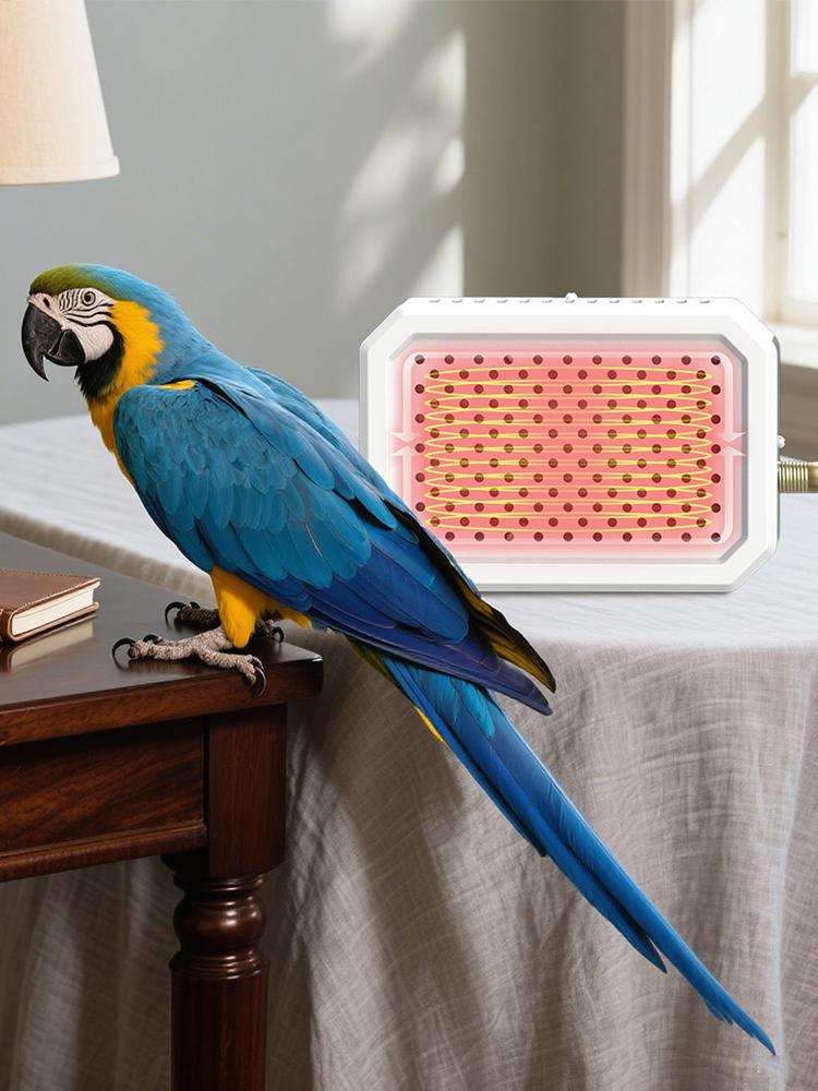 Bird Cage Heater Warming Panel Safe Thermostat Controlled Pet Warmer for Parakeets Cockatiels Finches Rabbits Hamsters Winter