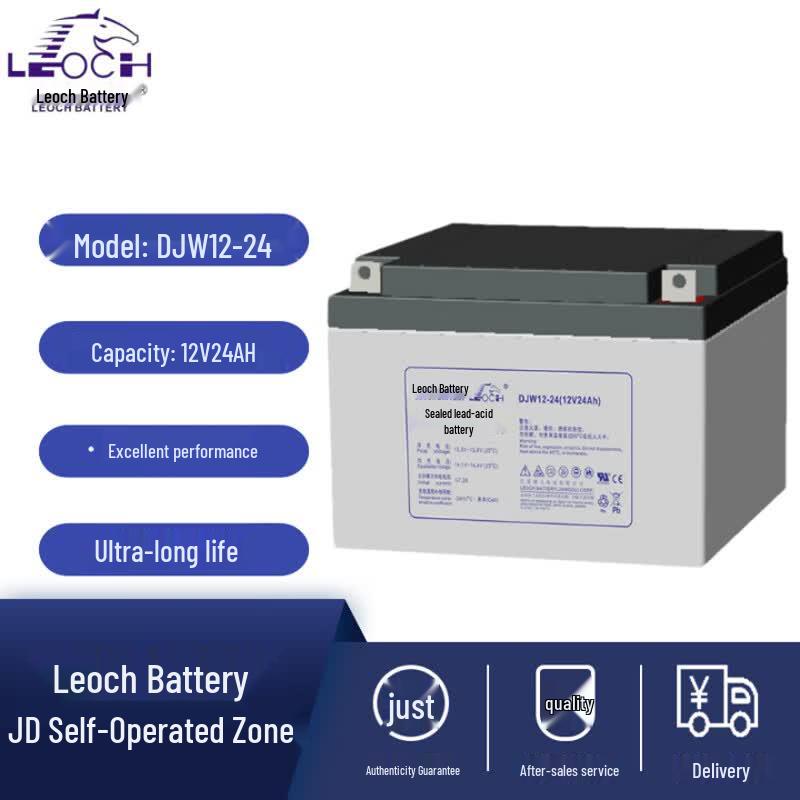 Leoch DJW12-24S 12V 24Ah Power Storage Battery
