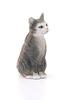 Schleich Farm World Cat Ages Realistic Farm Animal Toy 13771 (Sitting) Figurine, 3+,