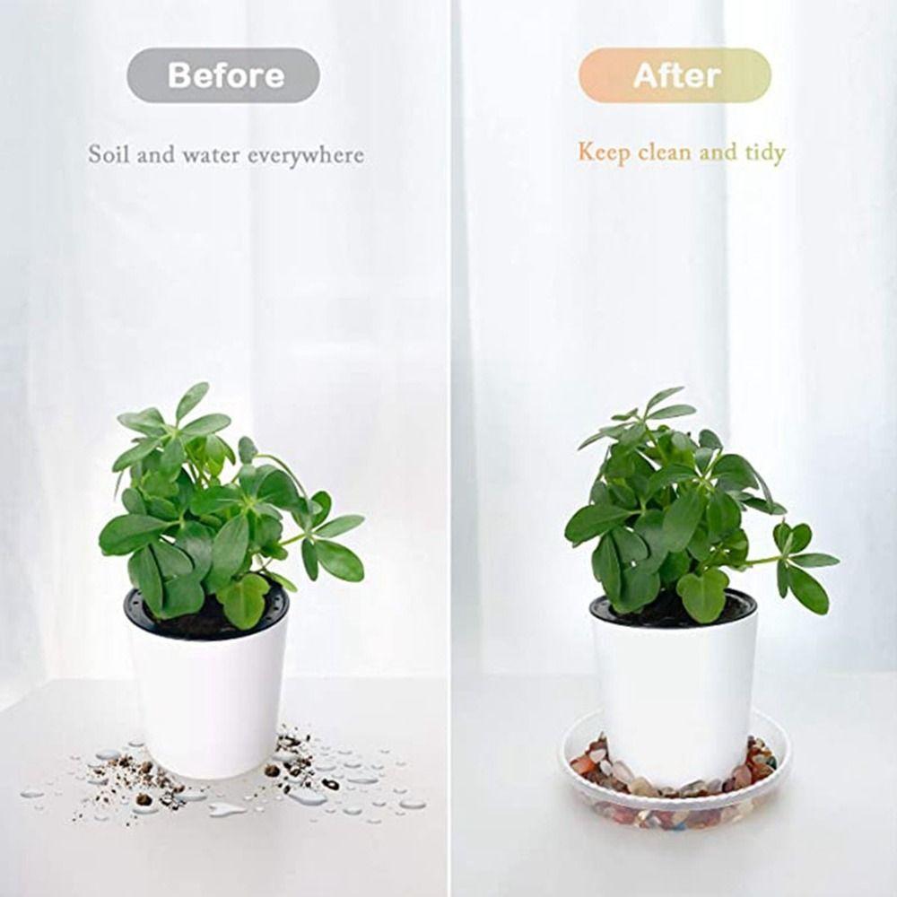 5Pcs Clear Plant Plates Round Plants Saucer New Flower Pot Tray Outdoor