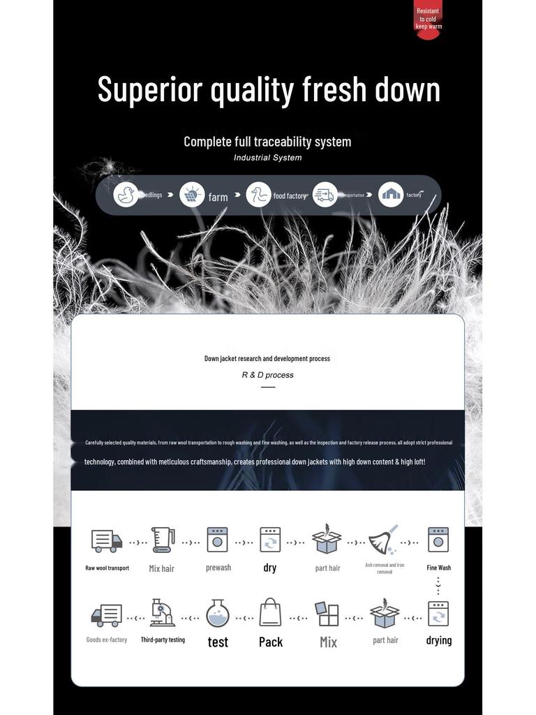 Shechi Women's Contrast Collar Short 90% Down Jacket