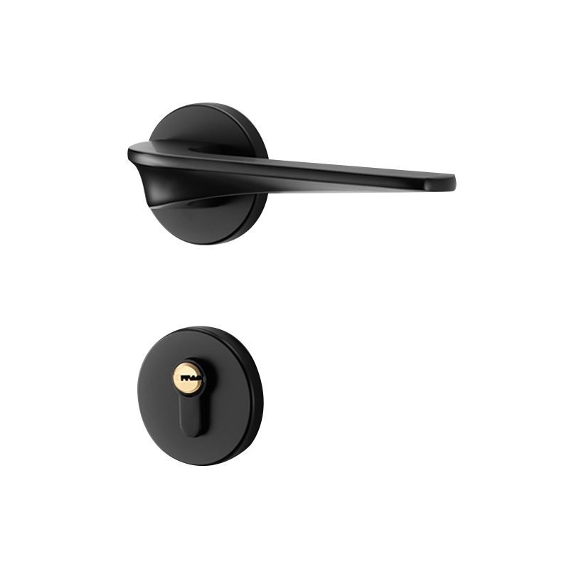 Modern Bedroom Door Indoor Mute Security Door Gold Split Mortise Lock Household Wood Door Hardware with Key