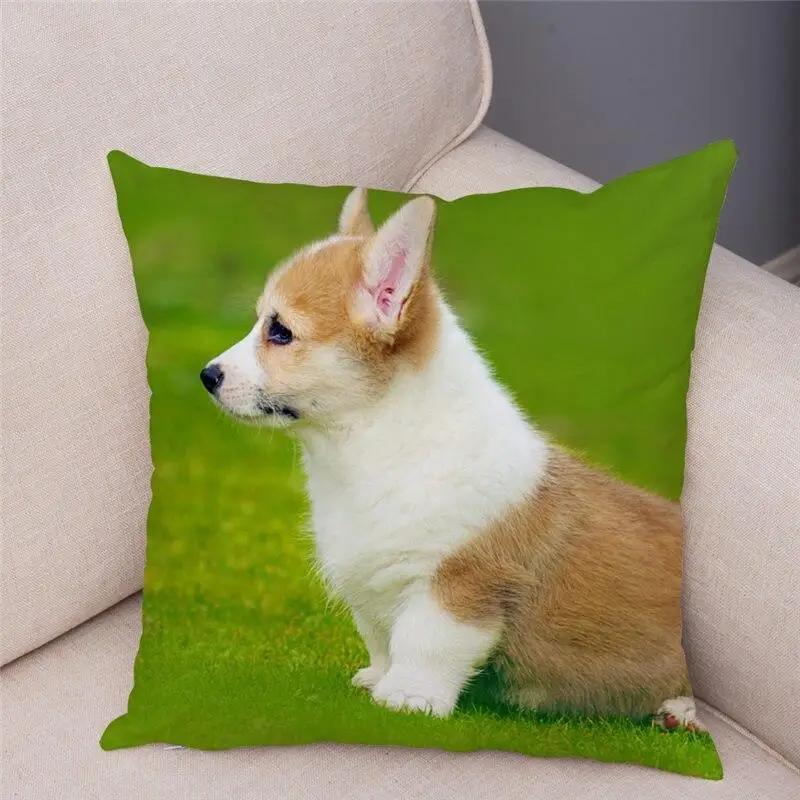 Cute Welsh Corgi Pembroke Dog Pillow Case Cm Cushion Cover Polyester Decorative Pet Animal   Car Sofa Home