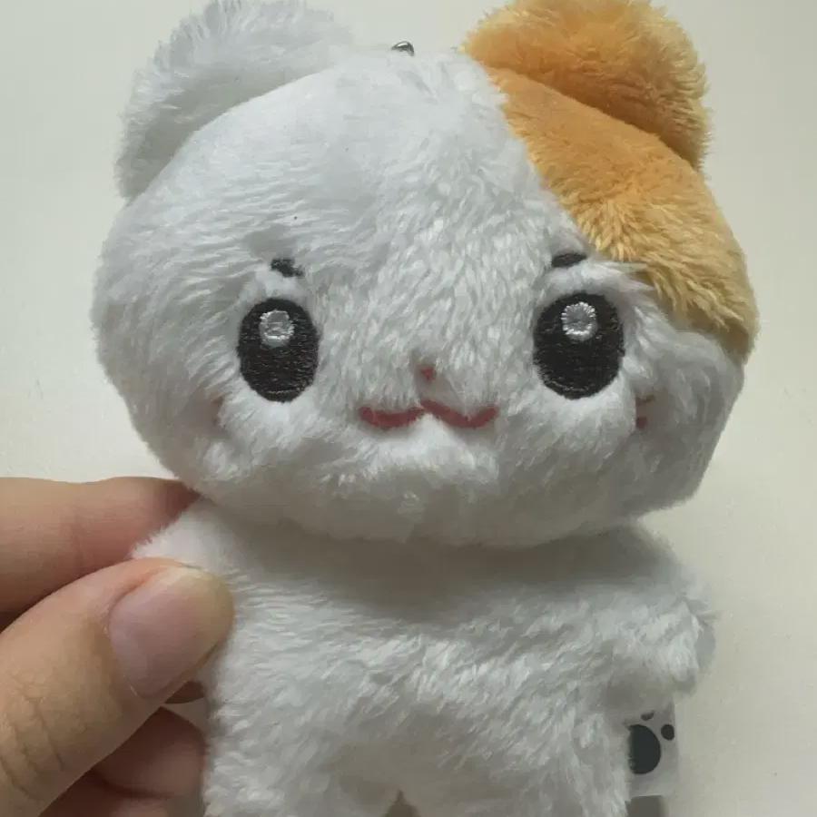 

Бокдом) Zerobaseone Zerobaseone Сом Хан Бин