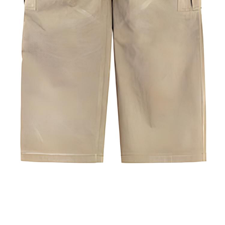 WE11DONE FW23 Solid Color Pleated Loose Casual Cargo Pants Unisex Pants Brown WD-DP3-23-302-W-BG