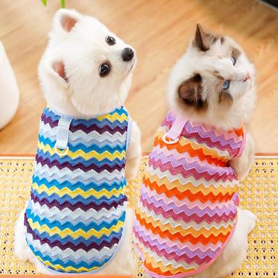 Abbigliamento e scarpe – Gilet e camicie per cani