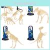 Realistisches Archäologisches Dinosaurierskelett Modell DIY Bausatz Für Kinderspielzeug