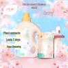 Zhihu Long-Lasting Sakura Perfume Laundry Detergent