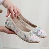 Fashion Embroidered Women Pointed Toe Flats Soft Lightweight Breathable Casual Comfortable Walking Shoes Fashionable Versatile Shoes
