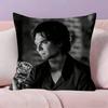 Damon Salvatore The Vampire  Pillowcases Home Bedding Decorative Pillow Cover Wedding Super Soft Pillow Case