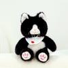 Cute Cat Plush Toy Cat Doll Pillow Children's Gift Kitten Rag Doll Birthday Gift