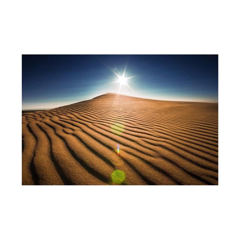 Desert Series Photography Background Natural Scenery Backdrop Photo Backdrop Studio Supplies Props Home Decor