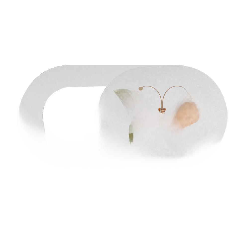 Japanese Anti-Peeping Camera Lens Cover for Phones & Tablets