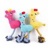 Cães – Brinquedos para cães