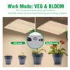Full Spectrum LED Grow Light LM281B Diode LED Sunlike Quantum Grow Lamp For Greenhouse Hydroponic Plant Growth Lighting