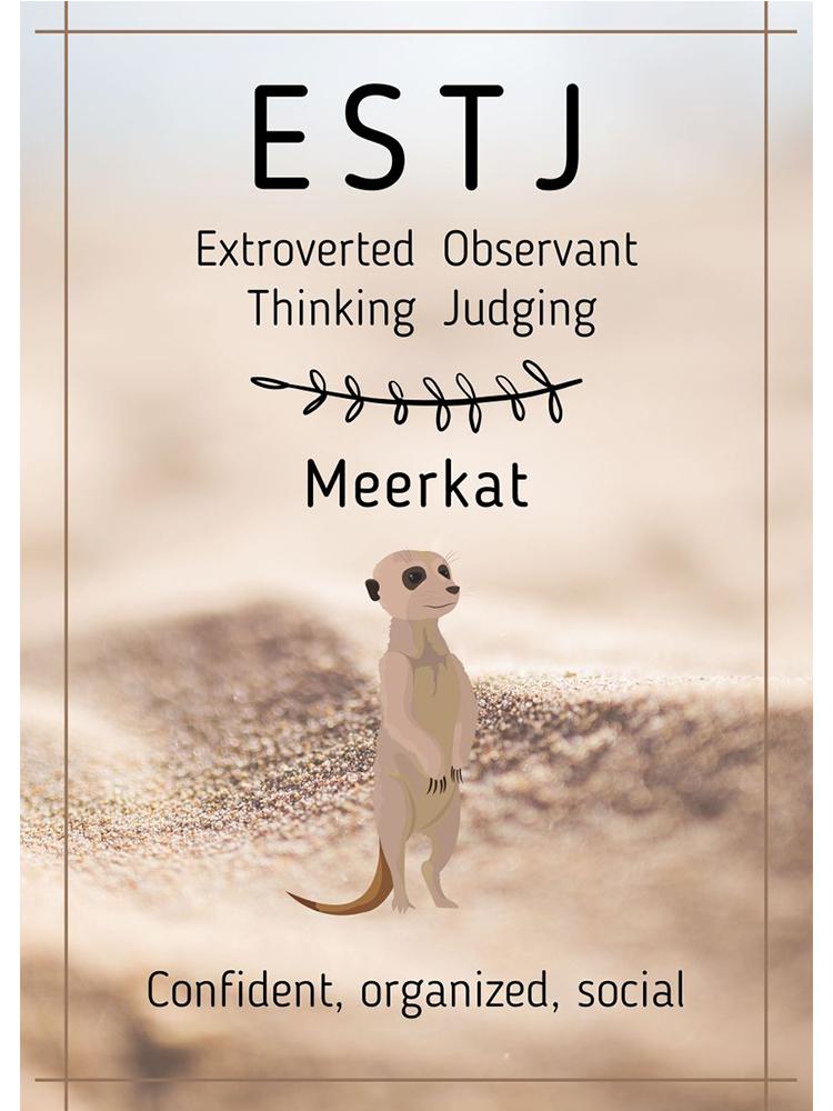 16 личностей ISFP ENTP ESFJ постеры холст картина животное панда медведь лиса сурикат скандинавское настенное искусство современная детская комната домашний декор 21x30cm No Frame