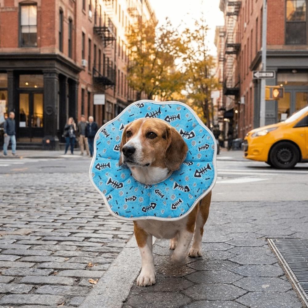 Adjustable Cartoon Printed Cat Cone Collar Breathable Soft Pet Elizabethan Collar Waterproof Cat Recovery Collar Pet Grooming