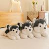 Cute Super Soft Husky Pillow Lying Bear Rag Doll On Bed Girl Long Pillow Doll Erha Pillow
