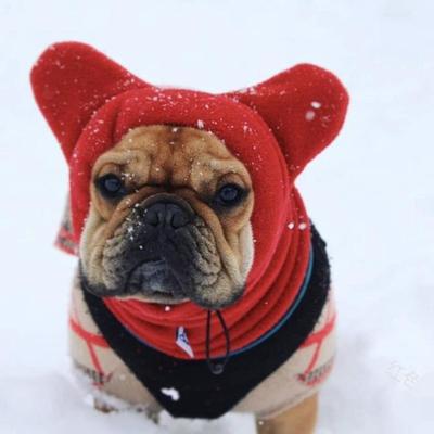 Cappello invernale per cani, caldo pile, copricapo per cani, copriorecchie, cappuccio regolabile per cani