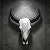 Retro Resin Bull Skull Wall Decor 33x9.5x39cm