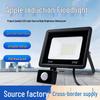Waterproof Infrared Motion Sensor 100W LED Outdoor Floodlight - Little Apple Design