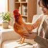 Cute Game Stuffed Doll 32 cm Rooster Plush Toy Cartoon Chicken Stuffed Toy  Kids Toy