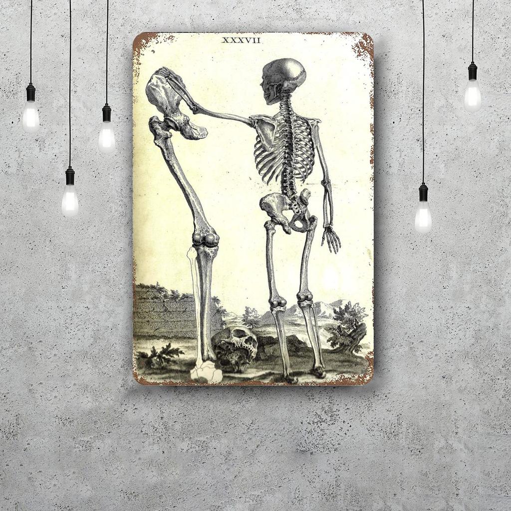 skeleton Vintage Tin Sign Home Decor Wall Decor Art Wall Mural Room Decoration Decor Retro Metal Sign Plate Bar Posters