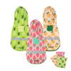 Puppy Clothes Summer Printed Fruit Pet Clothing Small Dog Waterproof Thin Cute Dog Raincoat