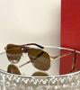 CARTER LUNETTES Retro Titanium Fashion Sunglasses, European-American Style 0165