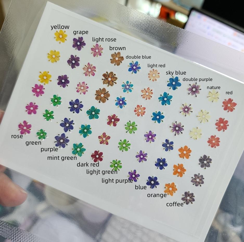 Hot Sale Natural Gradient-Colored Pressed Dried Flowers for Nail Art Stylish Stickers & Decals 50G