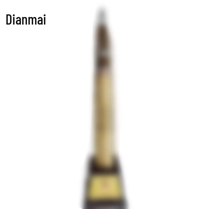 Dianmai 105 Teaching Training Model