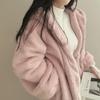 Hooded Plush Thick Section Woolen Jacket Women's Fall and Winter Padded Thickened Zipper Warm Short Coat Cute Fashion