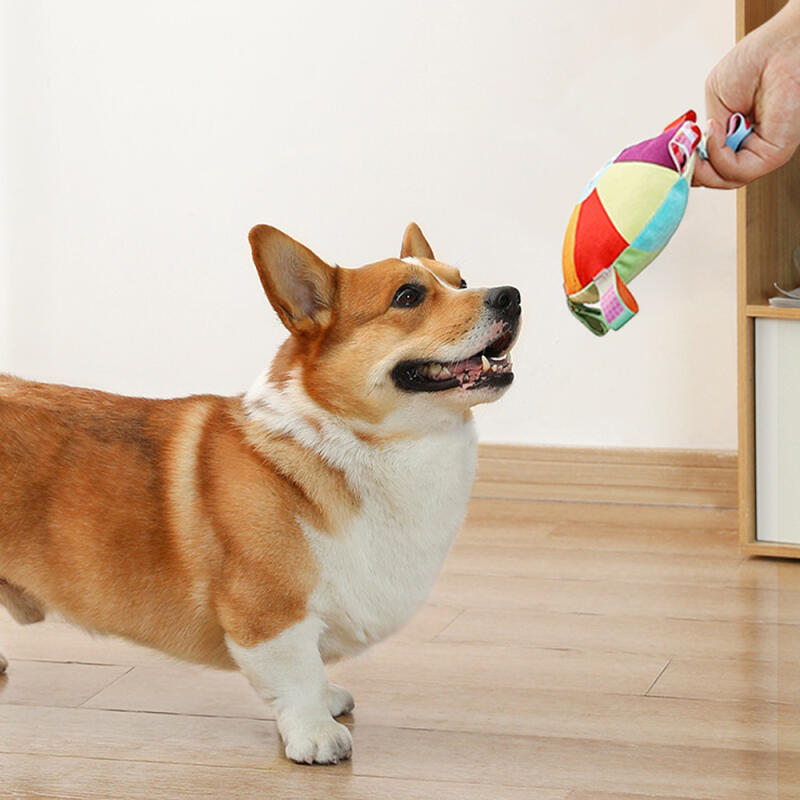 Frisbee Toy Dog Disc
