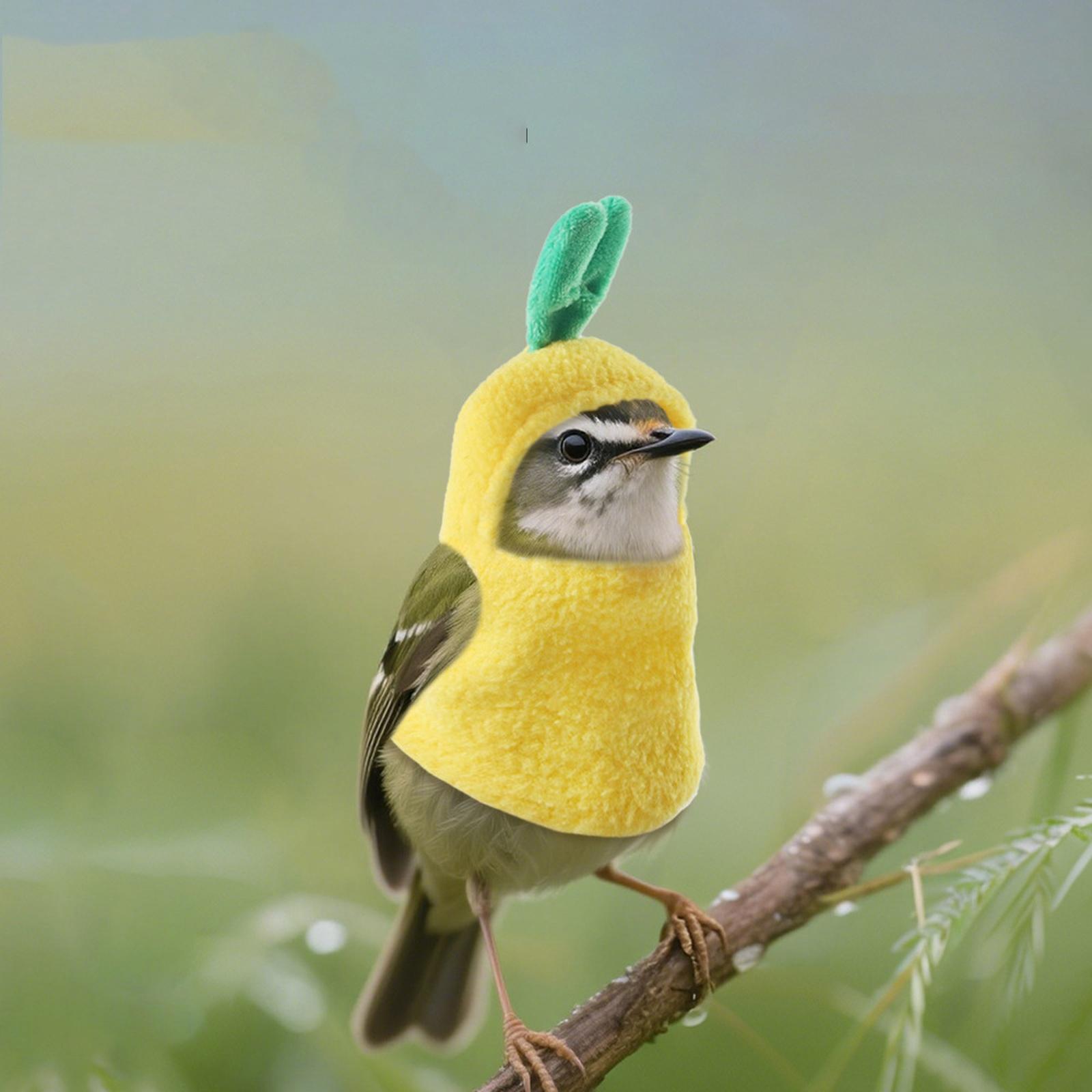 

Pineapple Shape Bird Costume Windproof Warm Outfit for Parrot Outdoor Wear L жёлтый